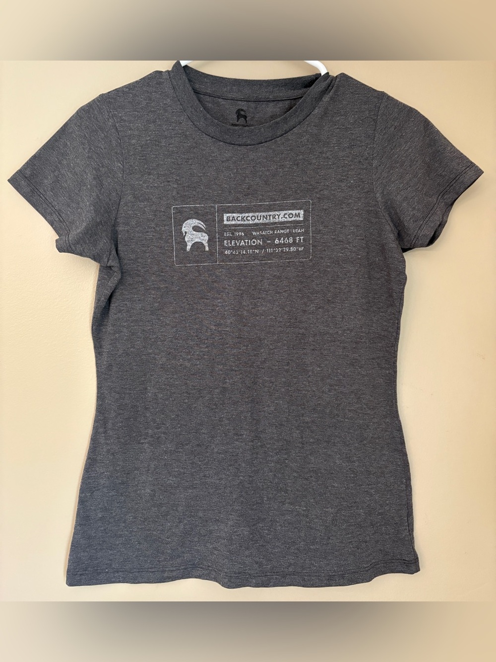 Backcountry.com Wasatch Range T-Shirt Small